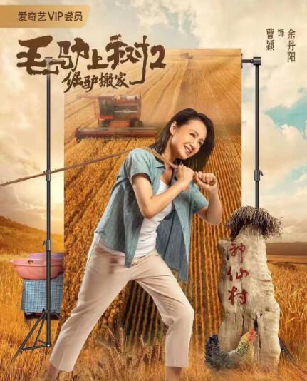 老女人的逼
