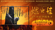第六电影网