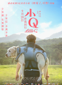 武藤绫香的新剧